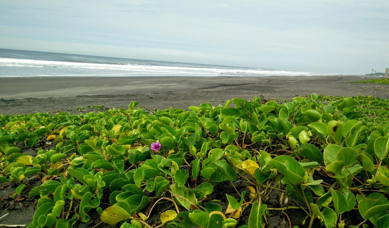Eco-Hotel Playa Quilombo Las Lisas Buitenkant foto