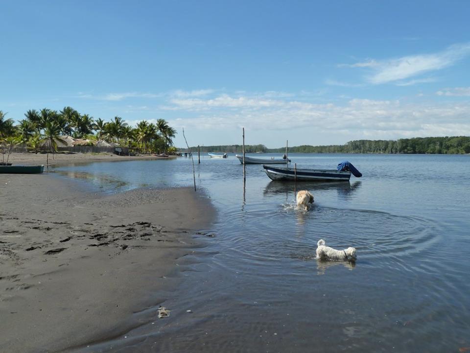 Eco-Hotel Playa Quilombo Las Lisas Buitenkant foto