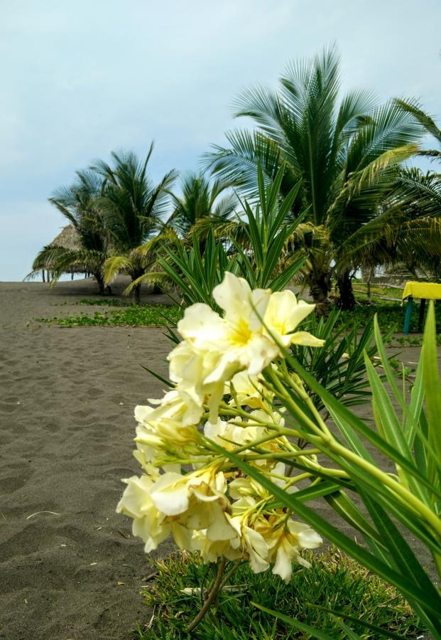 Eco-Hotel Playa Quilombo Las Lisas Buitenkant foto